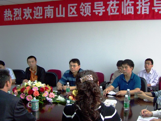 深圳市南山区辅导调研调查6008集团集团