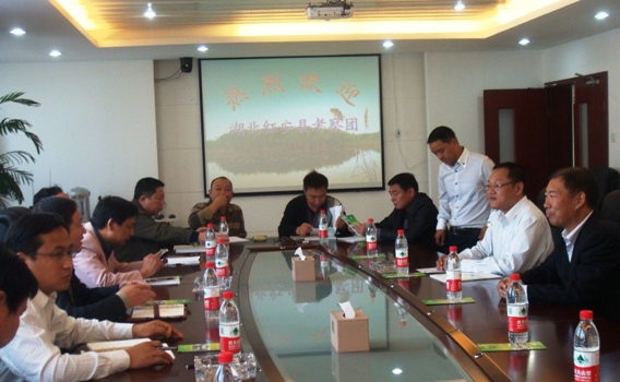 湖北省红安县当局调查海宁项目