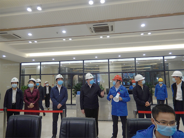 广西壮族自治区人大常委会副主任张秀隆视察6008集团博白项目